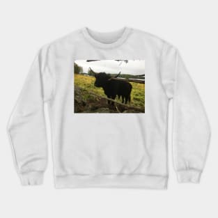 Scottish Highland Cattle Dark Black Bull 2089 Crewneck Sweatshirt